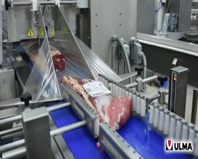 Meat Extraction System