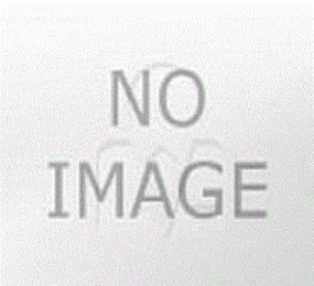 STA-1200 Automatic Satay Machine